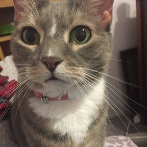 Meet your Posher, Sandra